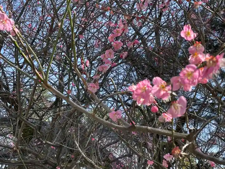 尾山神社(石川県)
