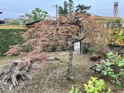 大法寺(宮城県)