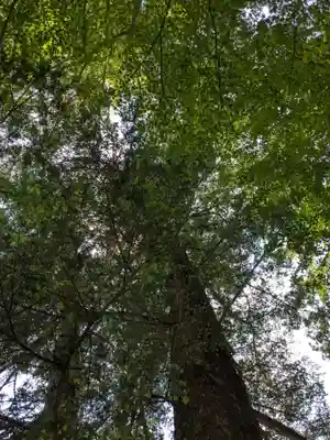椿大神社(三重県)