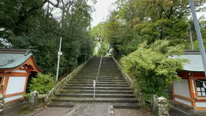 鹿児島神宮(鹿児島県)