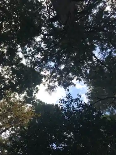 若狭彦神社（上社）のその他建物