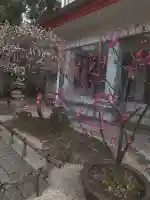 千葉天神の{uncategorized: "未分類", other: "その他", undefined: "問題あり", building: "その他建物", grave: "お墓", sacred_gate: "鳥居", guardian: "狛犬", statue: "像", buddha: "仏像", history: "歴史", nature: "自然", garden: "庭園", animal: "動物", pagoda: "塔", temizu: "手水舎", mountain_gate: "山門・神門", sanctuary: "本殿・本堂", subordinate: "末社・摂社", art: "芸術", scenery: "景色", jizo: "地蔵", ema: "絵馬", goshuin: "御朱印", omikuji: "おみくじ", items: "授与品その他", amulet: "お守り", goshuincho: "御朱印帳", eats: "食事", festival: "お祭り", votive_dance: "神楽", shichigosan: "七五三参", wedding: "結婚式", experience: "体験その他", initially: "初詣", around: "周辺", anti_infection: "感染症対策"}