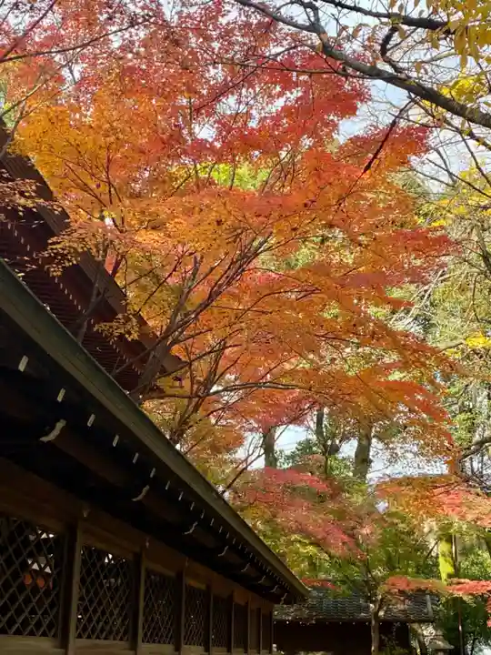 御霊神社(上御霊神社)(京都府)