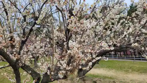 綱敷天満神社(愛媛県)