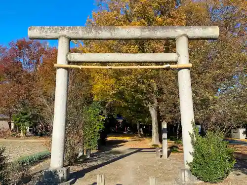 今城青坂稲実池上神社の鳥居