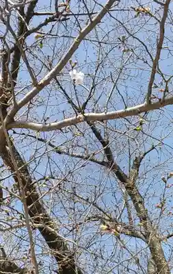 比佐豆知神社(三重県)