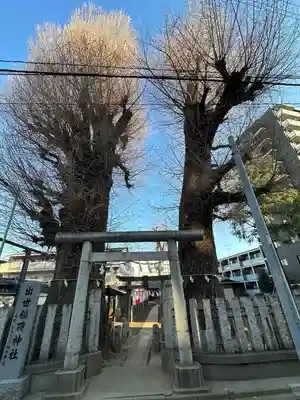 出世稲荷神社(埼玉県)