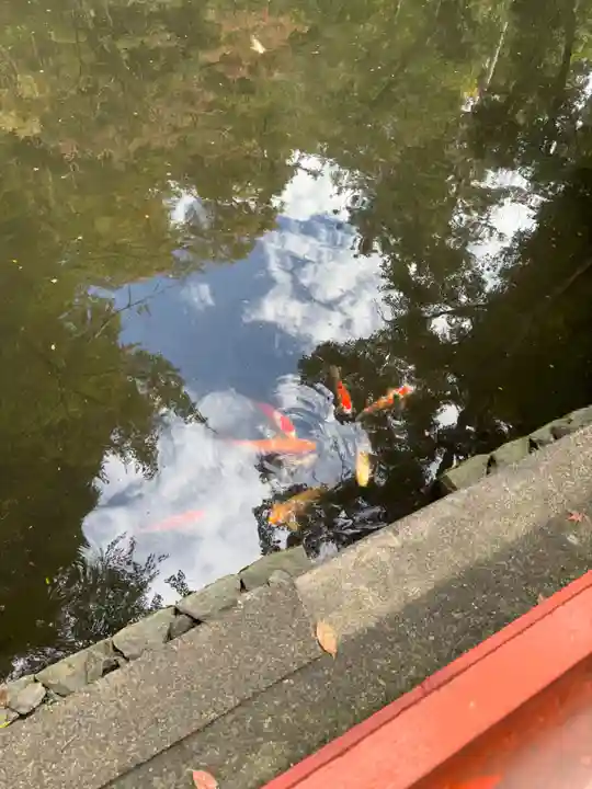 鶴岡八幡宮の自然