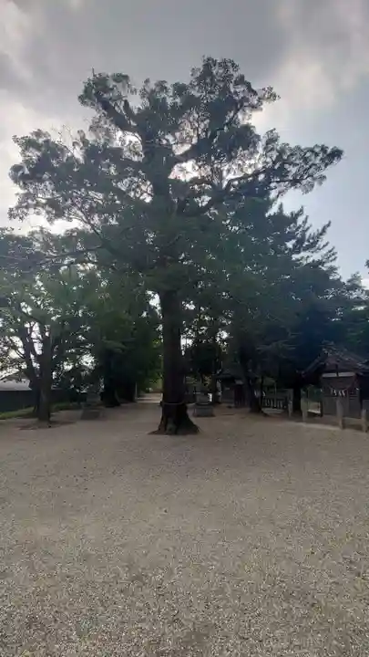小垣江神明神社(愛知県)