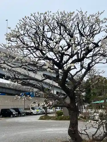隅田川神社(東京都)