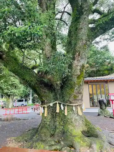 橘神社(長崎県)
