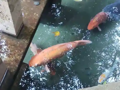 鹿島神宮(茨城県)