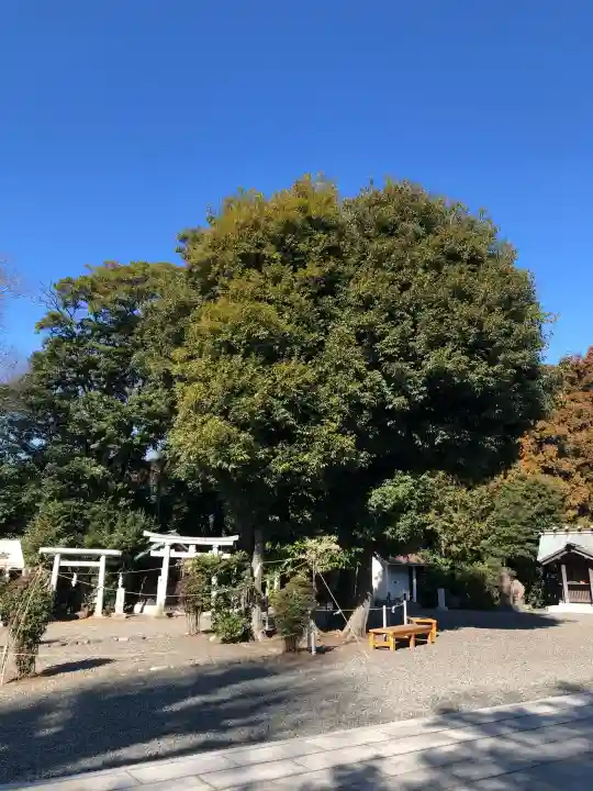 皇大神宮(烏森神社)の{uncategorized: "未分類", other: "その他", undefined: "問題あり", building: "その他建物", grave: "お墓", sacred_gate: "鳥居", guardian: "狛犬", statue: "像", buddha: "仏像", history: "歴史", nature: "自然", garden: "庭園", animal: "動物", pagoda: "塔", temizu: "手水舎", mountain_gate: "山門・神門", sanctuary: "本殿・本堂", subordinate: "末社・摂社", art: "芸術", scenery: "景色", jizo: "地蔵", ema: "絵馬", goshuin: "御朱印", omikuji: "おみくじ", items: "授与品その他", amulet: "お守り", goshuincho: "御朱印帳", eats: "食事", festival: "お祭り", votive_dance: "神楽", shichigosan: "七五三参", wedding: "結婚式", experience: "体験その他", initially: "初詣", around: "周辺", anti_infection: "感染症対策"}