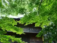 滑川神社 - 仕事と子どもの守り神の自然