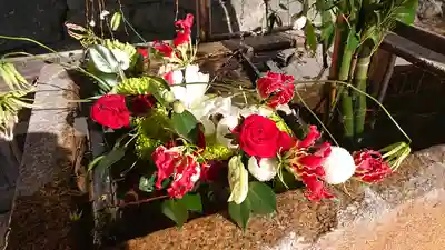 興聖寺(興聖寶林禅寺)(京都府)