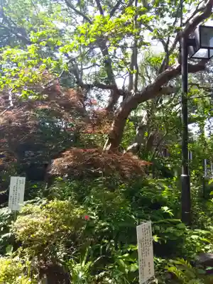 武蔵国分寺(東京都)