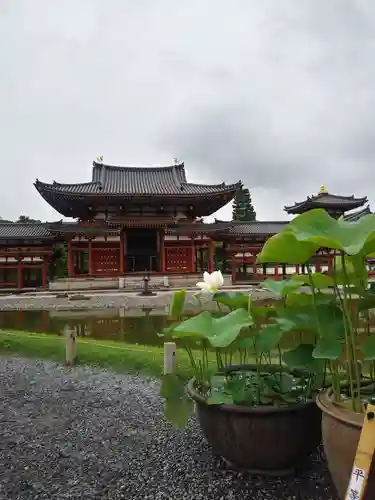 平等院の本殿