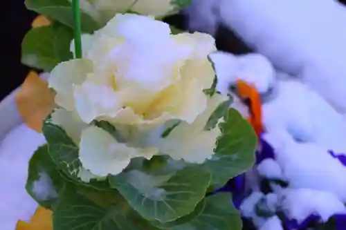熊野福藏神社(福島県)