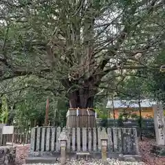 熊野速玉大社(和歌山県)