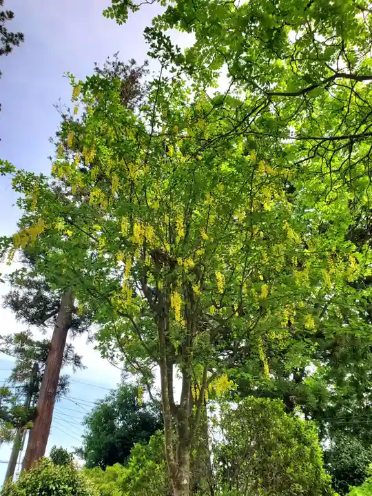 上合寺(福島県)
