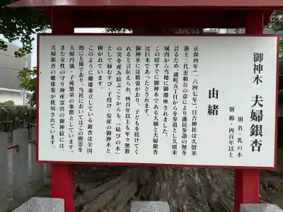 久留米宗社　日吉神社の{uncategorized: "未分類", other: "その他", undefined: "問題あり", building: "その他建物", grave: "お墓", sacred_gate: "鳥居", guardian: "狛犬", statue: "像", buddha: "仏像", history: "歴史", nature: "自然", garden: "庭園", animal: "動物", pagoda: "塔", temizu: "手水舎", mountain_gate: "山門・神門", sanctuary: "本殿・本堂", subordinate: "末社・摂社", art: "芸術", scenery: "景色", jizo: "地蔵", ema: "絵馬", goshuin: "御朱印", omikuji: "おみくじ", items: "授与品その他", amulet: "お守り", goshuincho: "御朱印帳", eats: "食事", festival: "お祭り", votive_dance: "神楽", shichigosan: "七五三参", wedding: "結婚式", experience: "体験その他", initially: "初詣", around: "周辺", anti_infection: "感染症対策"}