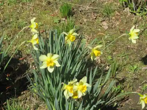 安國論寺（安国論寺）の自然