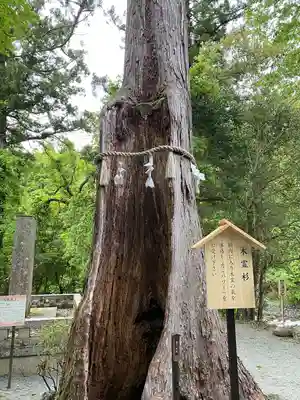 丹生川上神社（中社）(奈良県)