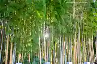 不知森神社(千葉県)