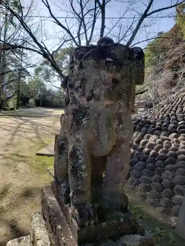 吉田大神宮の狛犬