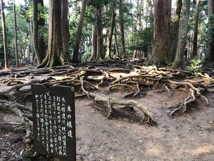 由岐神社の自然