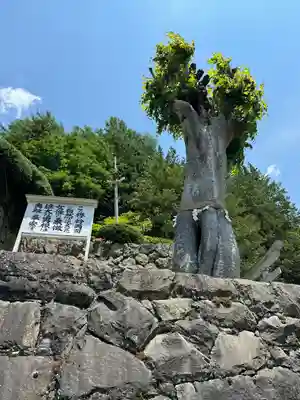 夫婦木神社(山梨県)