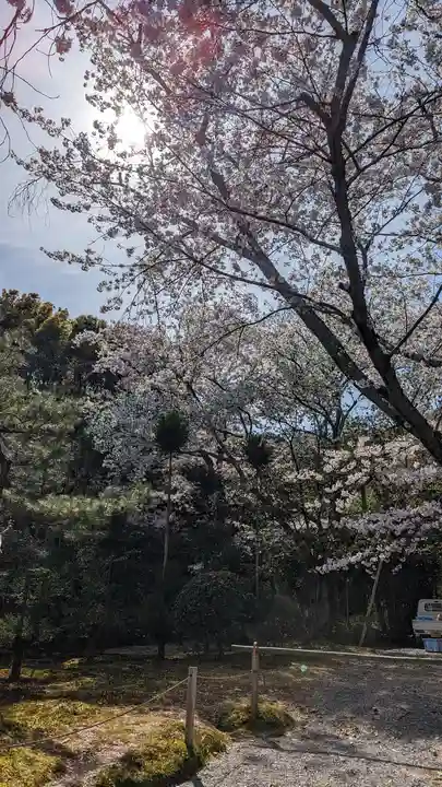 龍安寺(京都府)