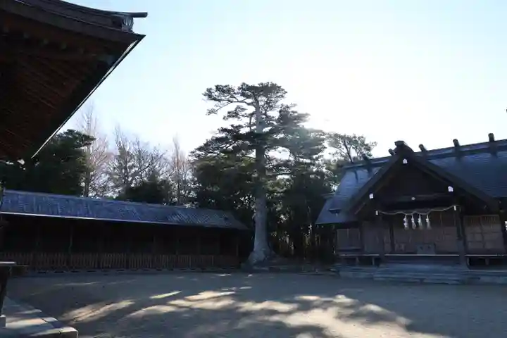 鶴谷八幡宮(千葉県)