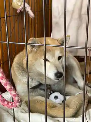 笠䅣稲荷神社(神奈川県)