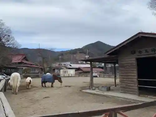 小室浅間神社の動物