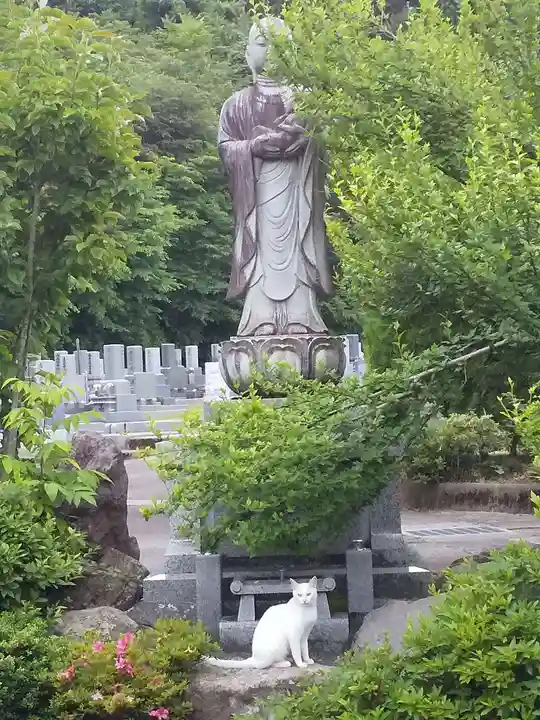 御誕生寺(猫寺)(福井県)