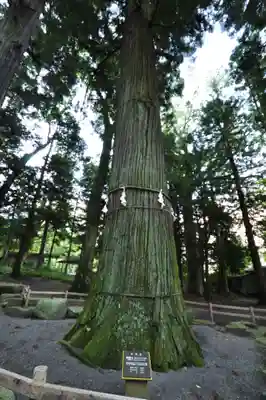 河口浅間神社(山梨県)