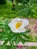 蚊里田八幡宮(長野県)