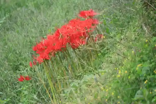 長屋神社の自然
