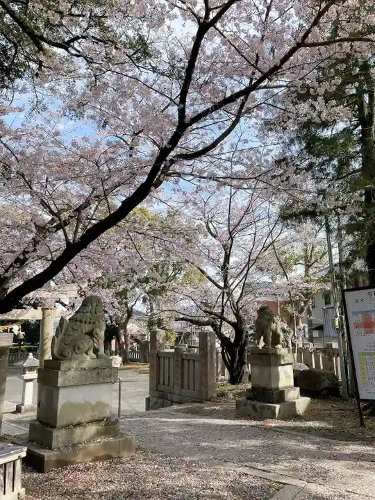 玉前神社(千葉県)
