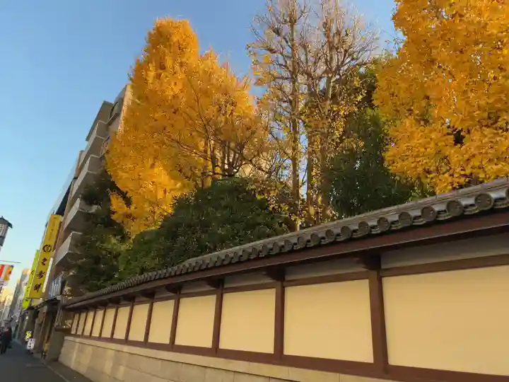 川崎大師(平間寺)の自然