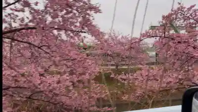 鷲宮神社の{uncategorized: "未分類", other: "その他", undefined: "問題あり", building: "その他建物", grave: "お墓", sacred_gate: "鳥居", guardian: "狛犬", statue: "像", buddha: "仏像", history: "歴史", nature: "自然", garden: "庭園", animal: "動物", pagoda: "塔", temizu: "手水舎", mountain_gate: "山門・神門", sanctuary: "本殿・本堂", subordinate: "末社・摂社", art: "芸術", scenery: "景色", jizo: "地蔵", ema: "絵馬", goshuin: "御朱印", omikuji: "おみくじ", items: "授与品その他", amulet: "お守り", goshuincho: "御朱印帳", eats: "食事", festival: "お祭り", votive_dance: "神楽", shichigosan: "七五三参", wedding: "結婚式", experience: "体験その他", initially: "初詣", around: "周辺", anti_infection: "感染症対策"}