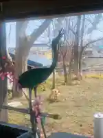 釧路一之宮 厳島神社の動物