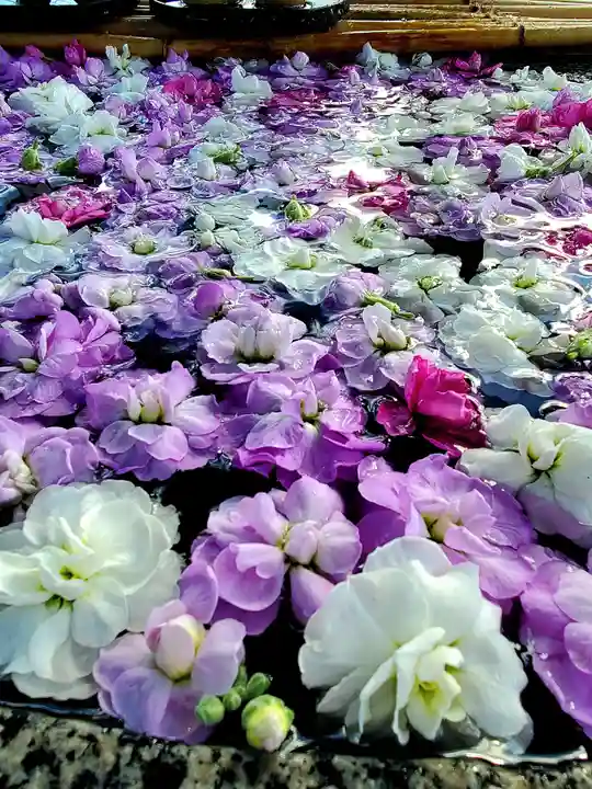 阿邪訶根神社(福島県)