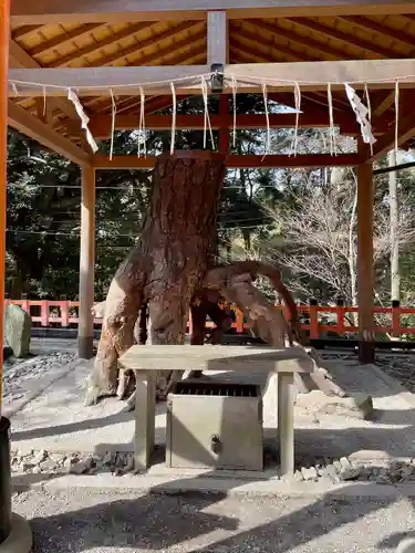 伏見稲荷大社(京都府)