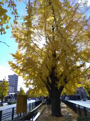 本法寺(京都府)