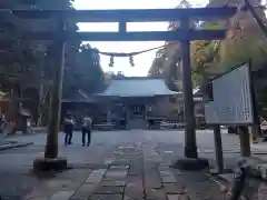 白鳥神社の鳥居