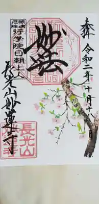 御会式桜 オエシキサクラ