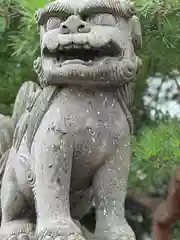 鹿部稲荷神社の狛犬