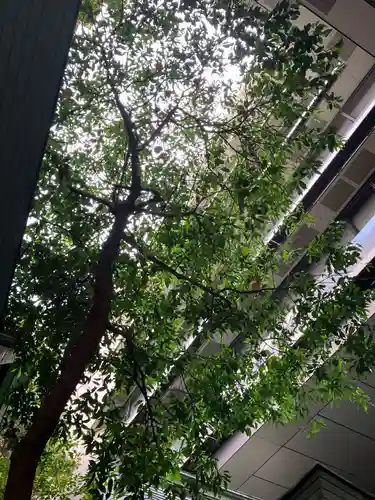 築土神社(東京都)